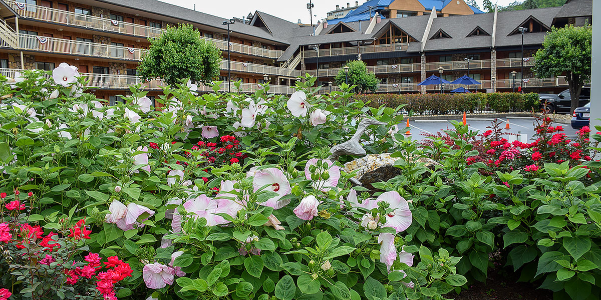 Gatlinburg is a fun walkable town with many options for fmaily fun