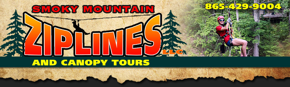 Spend a Day Surrounded by the Natural Beauty of the Great Smoky